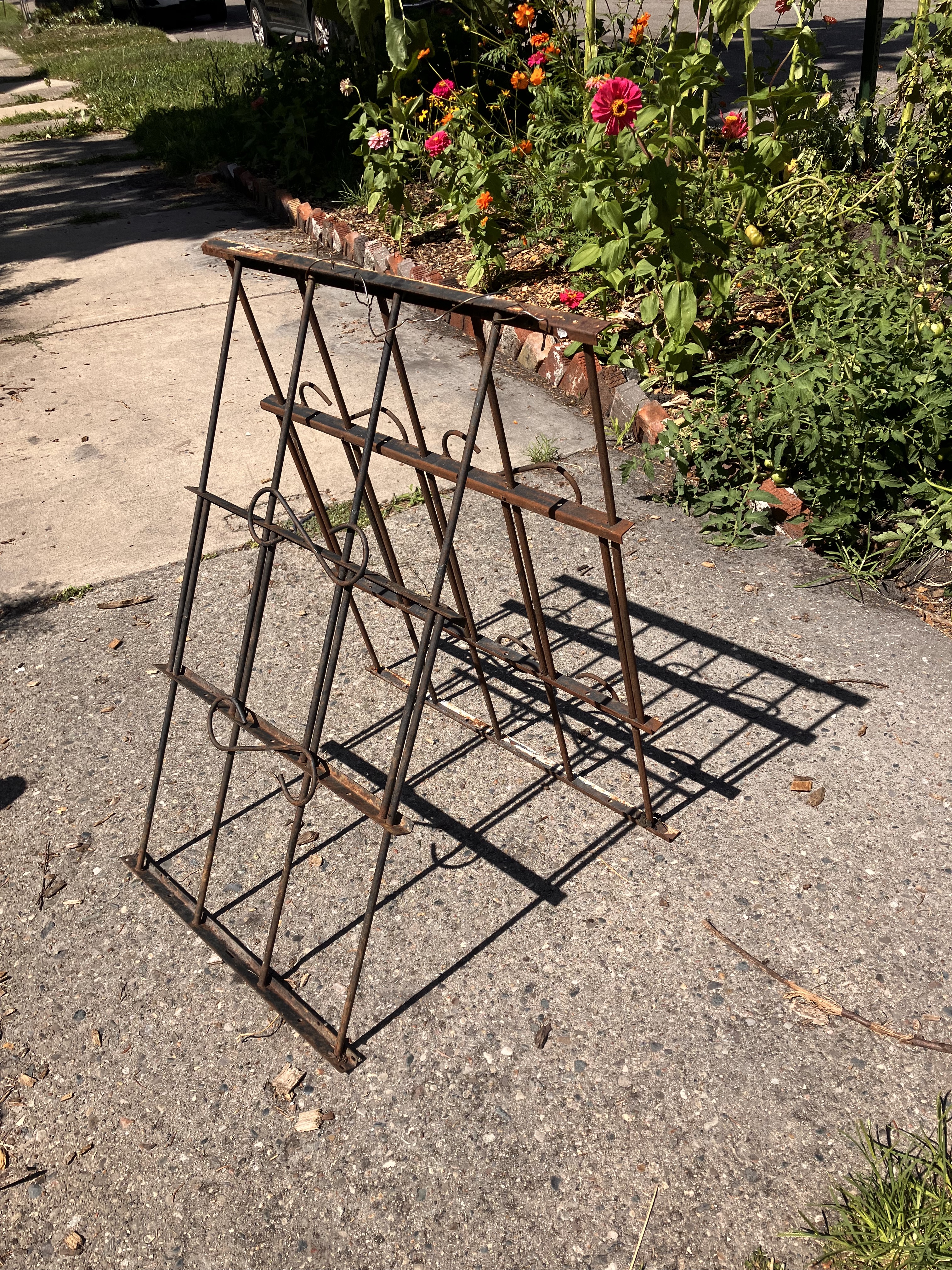 My Hornworm Friend artwork by Lindsay Viki Karty